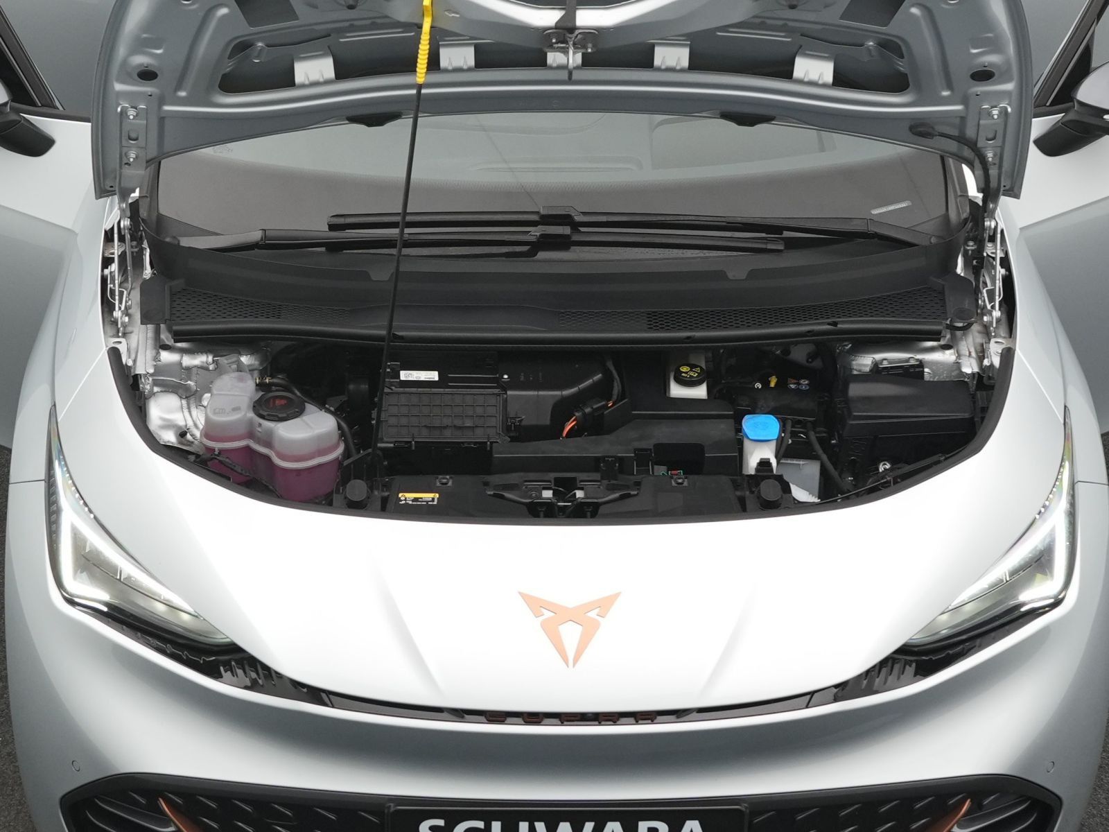 Cupra Born - Bild 29