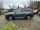 Subaru Forester 2.0ie Comfort Lineartronic - graue Subaru Forester