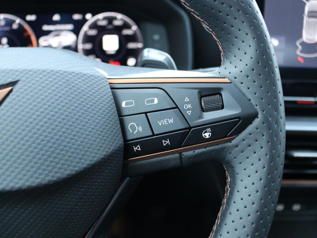 Fahrzeugabbildung CUPRA Formentor 2.0 TSI 4Drive DSG