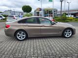 BMW 425d Gran Coupe Aut. Advantage TOP ZUSTAND - BMW 425: Coupe
