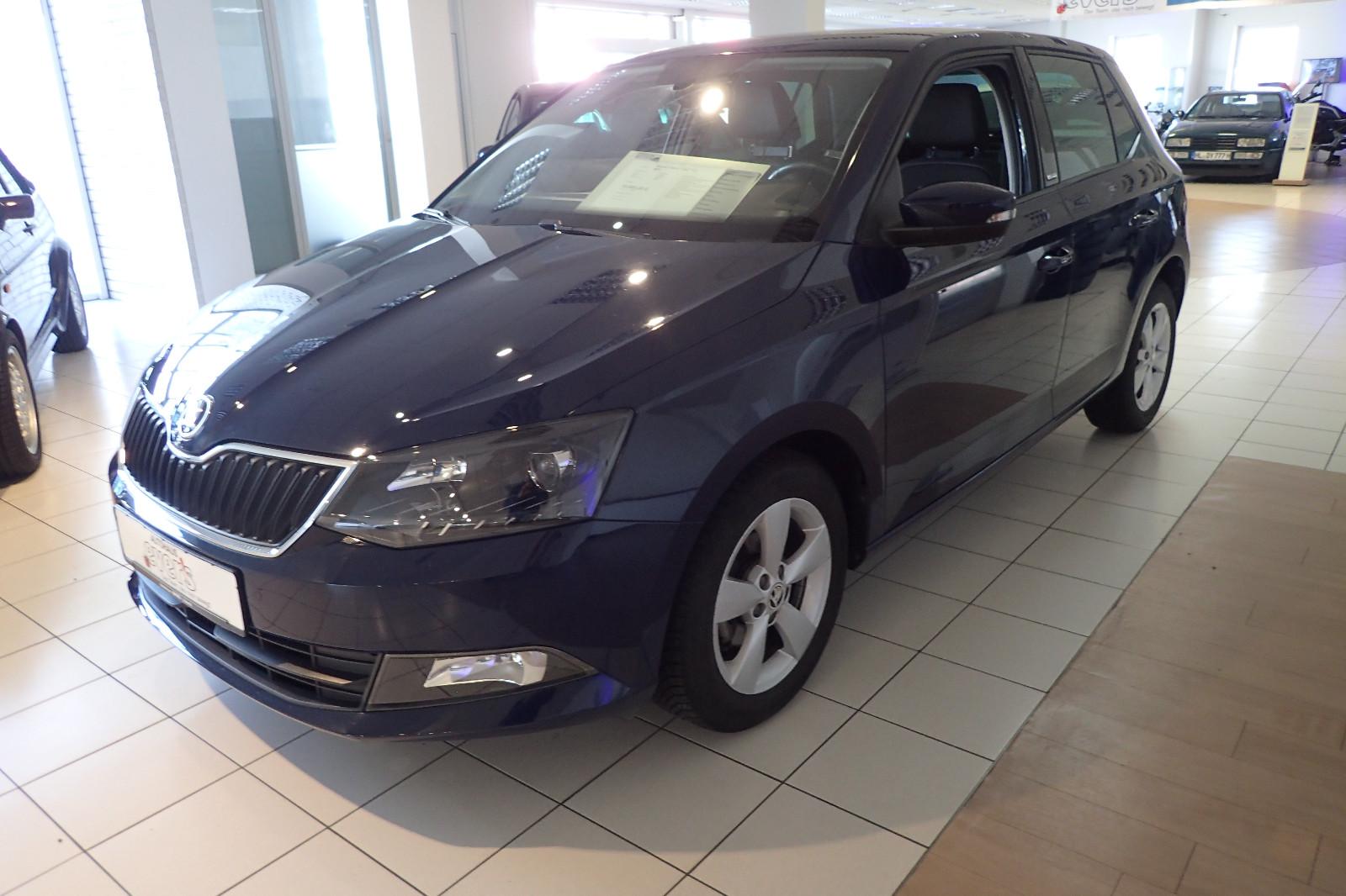 Skoda Fabia Joy  PDC CLIMATRONIC SITZHZ. GRA ALU