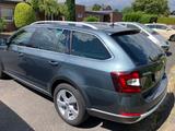 Skoda Octavia Scout 2.0 TSI DSG 4x4  Neuwertig - Skoda Octavia mit Benzin-Antrieb: Allradantrieb, Kombi, 2.0