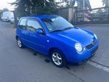 Volkswagen Lupo 1.0 College | TÜV/AU bis 12/27 - Volkswagen Lupo College mit Benzin-Antrieb