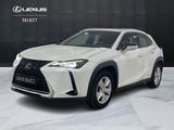 Lexus UX UX 250h 2.0 Business 2wd cvt my20 - Lexus UX aus 2020
