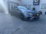 Mercedes-Benz CLS 350 d 4MATIC - CLS 53 AMG Optik 