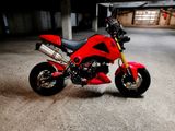Honda MSX 125 - Offers matching your search criteria