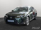 Lexus UX 300h F-Sport Design ACC LENKRADHEIZUNG LED - Lexus UX: F Sport