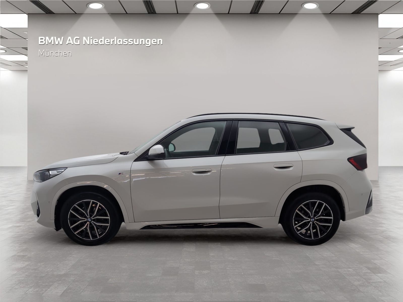 BMW X1 xDrive20d M Sport AHK Driv.Assist Head-Up foto 2