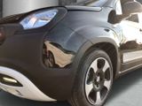 Fiat Panda Pandina Cross GSE Mild Hybrid DAB Spurhalt - Fiat: Pand