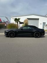 Ford Mustang 5.0 Ti-VCT V8 GT Auto GT - Ford Mustang Gebrauchtwagen in Frankfurt