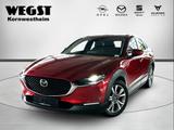 Mazda CX-30 2,0 Selection Automatik - Mazda CX-30 in Stuttgart