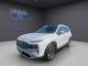 HYUNDAI Santa Fe Prime Plug-In Hybrid KLIMA,NAVI,PDC,