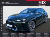 Lexus UX 250h 2.0 Hybrid Luxury Line LED LEDER - Lexus UX mit Schiebedach