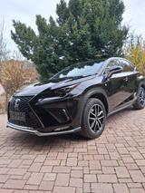 Lexus NX 300h Garantie ,4x Inspektion inklusive  - Lexus: Allradantrieb