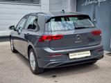 Volkswagen Golf VIII 1.0 TSI Life (EURO 6d) - 1.6l Gebrauchtwagen