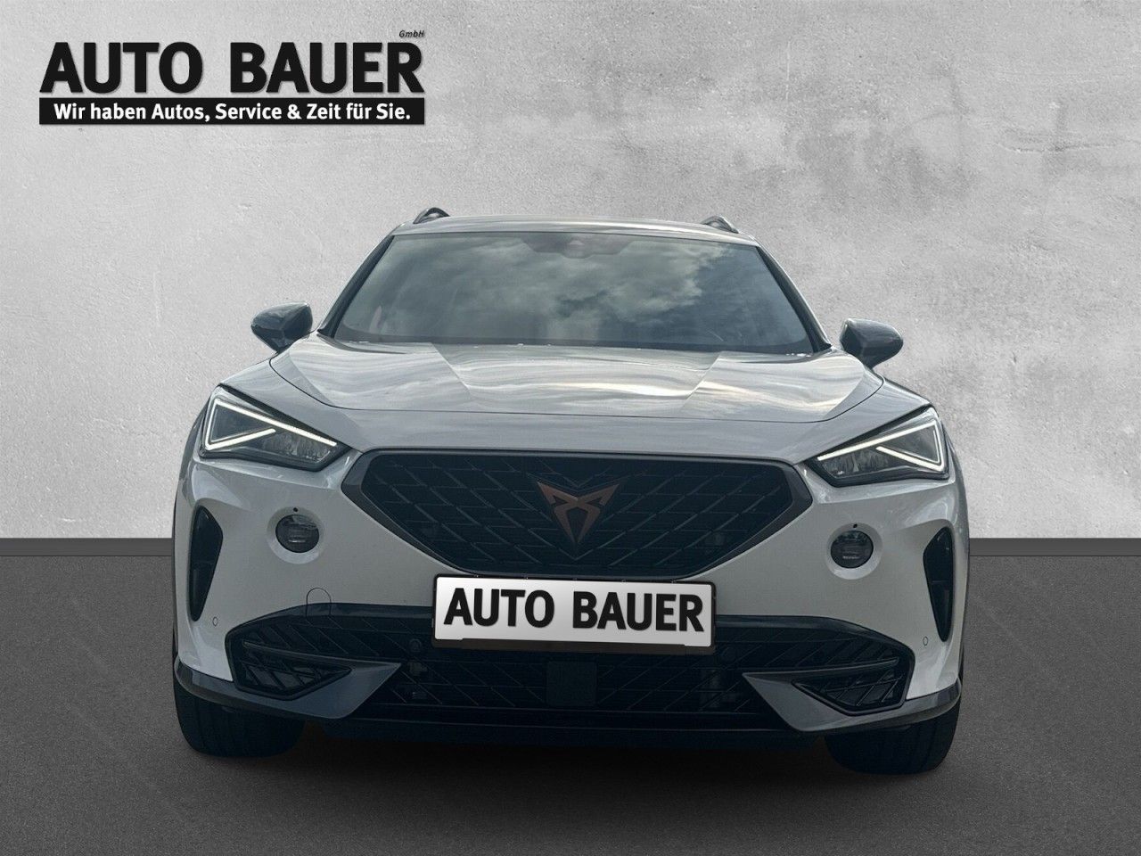 Fahrzeugabbildung CUPRA Formentor 2.0 TSI 4Drive (190 PS) 7-Gang-DSG