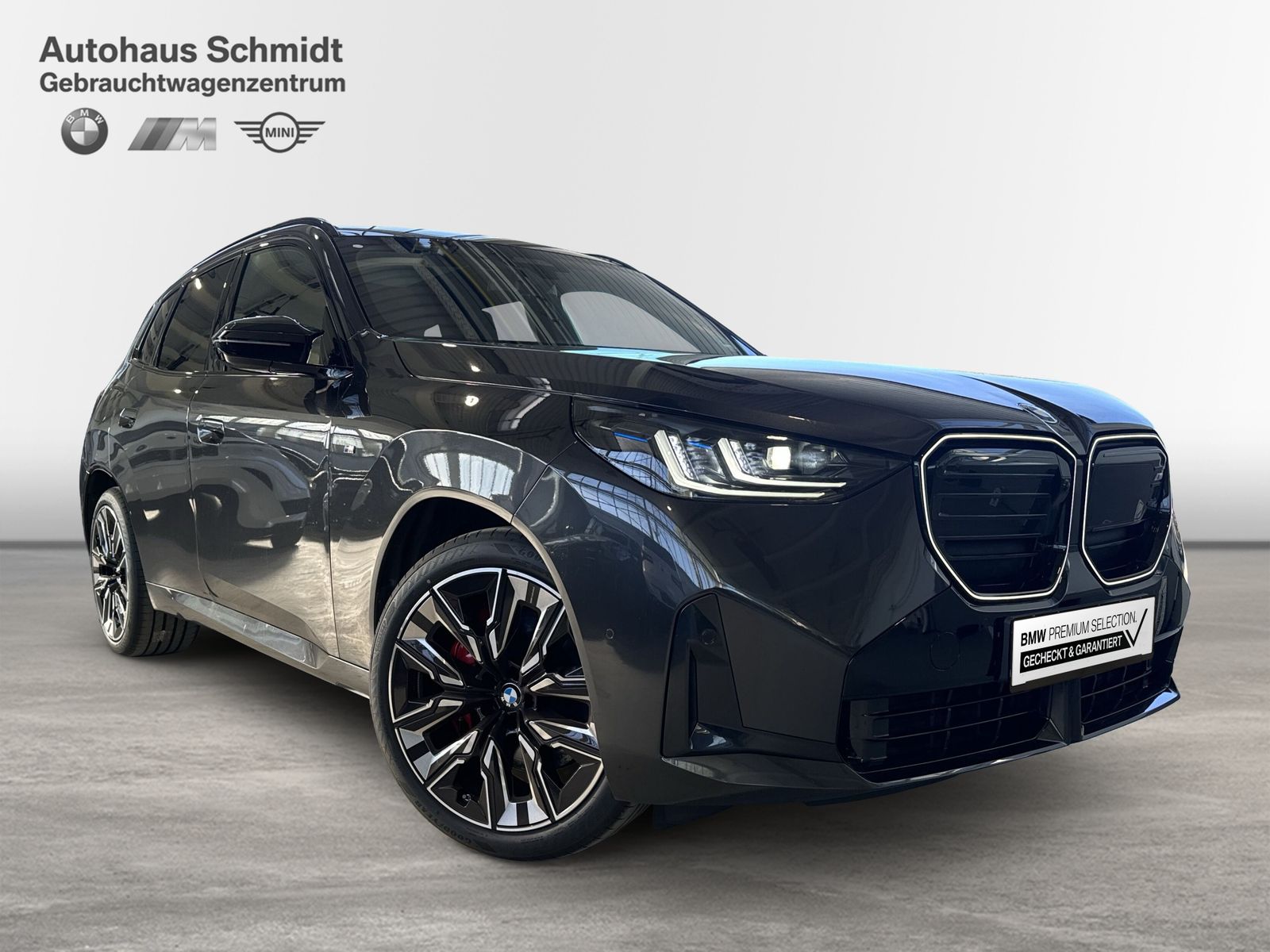 BMW X3 M50 - Bild 6