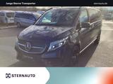 Mercedes-Benz V 300 d 4M EDIT. Extralang AMG DISTR. Standhz - Mercedes-Benz V 300 in Dresden