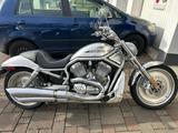 Harley-Davidson V Rod   - HARLEY-DAVIDSON 2005 V ROD