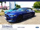 Ford Mustang Convertible Cabrio 2.3 EcoB. Navi,Xenon - Ford Mustang mit Benzin-Antrieb: Cabrio, Automatik