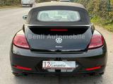 Volkswagen Beetle Cabriolet Exclusive R-Line BMT/Start-Stop - Volkswagen Beetle: Cabrio