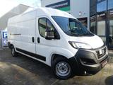 Fiat Ducato Maxi Kasten 35 140 L4H2 KLIMAUT/SITZH/KAM - Fiat Ducato: 14