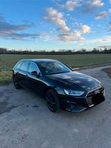 Audi A4 Avant 35 TDI S tronic Navi+ LED PDC SHZ 