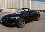 BMW 218i Cabrio Advantage, Leder, 70.000 km - BMW: Cabrio, 7