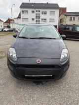 Fiat Punto 1.2 8V POP - Fiat Punto Gebrauchtwagen in Stuttgart