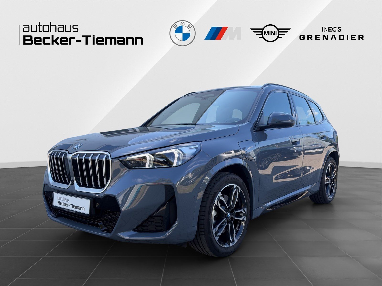 BMW X1 xDrive30e M-Sport AHK HUD DrivAssProf. ParkAs foto 1