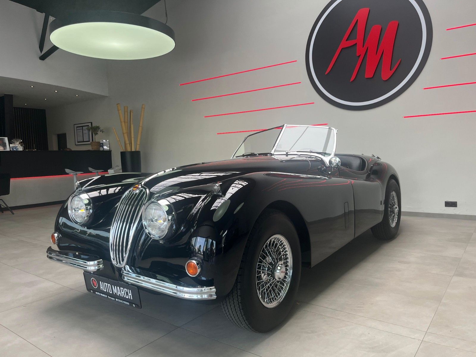 Fahrzeugabbildung Jaguar XK 140 SE-C OTS Roadster