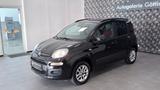 Fiat Panda Lounge/AUTOMATIK/36TKM/KLIMA/GARANTIE - Fiat Panda mit Benzin-Antrieb: Kleinwagen, Automatik