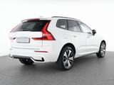 Volvo XC60 T8 Recharge AWD Plus Dark 19"+ACC+STANDHZG - Volvo XC60: Recharge Plus Dark