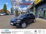 Peugeot 3008 Allure Business PureTech 130 LED SHZ PDC - Peugeot 3008: Business
