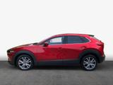 Mazda CX-30 2.0 M-Hybrid SELECTION Navi HuD Voll-LED - Mazda CX-30 aus 2019