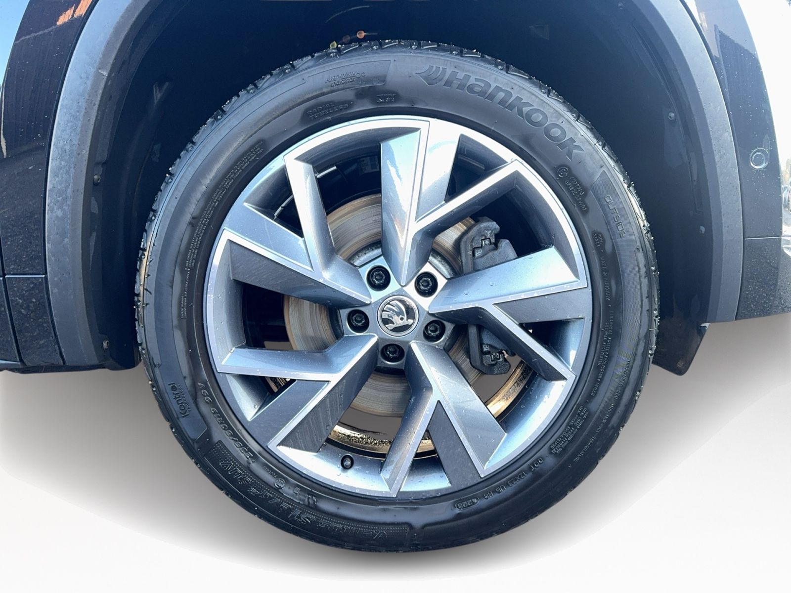 Kodiaq 2.0 TDI Sportline 4x4, AHK, Business Amun