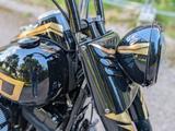 Harley-Davidson Fls softaile slim - Motorräder in Bonn