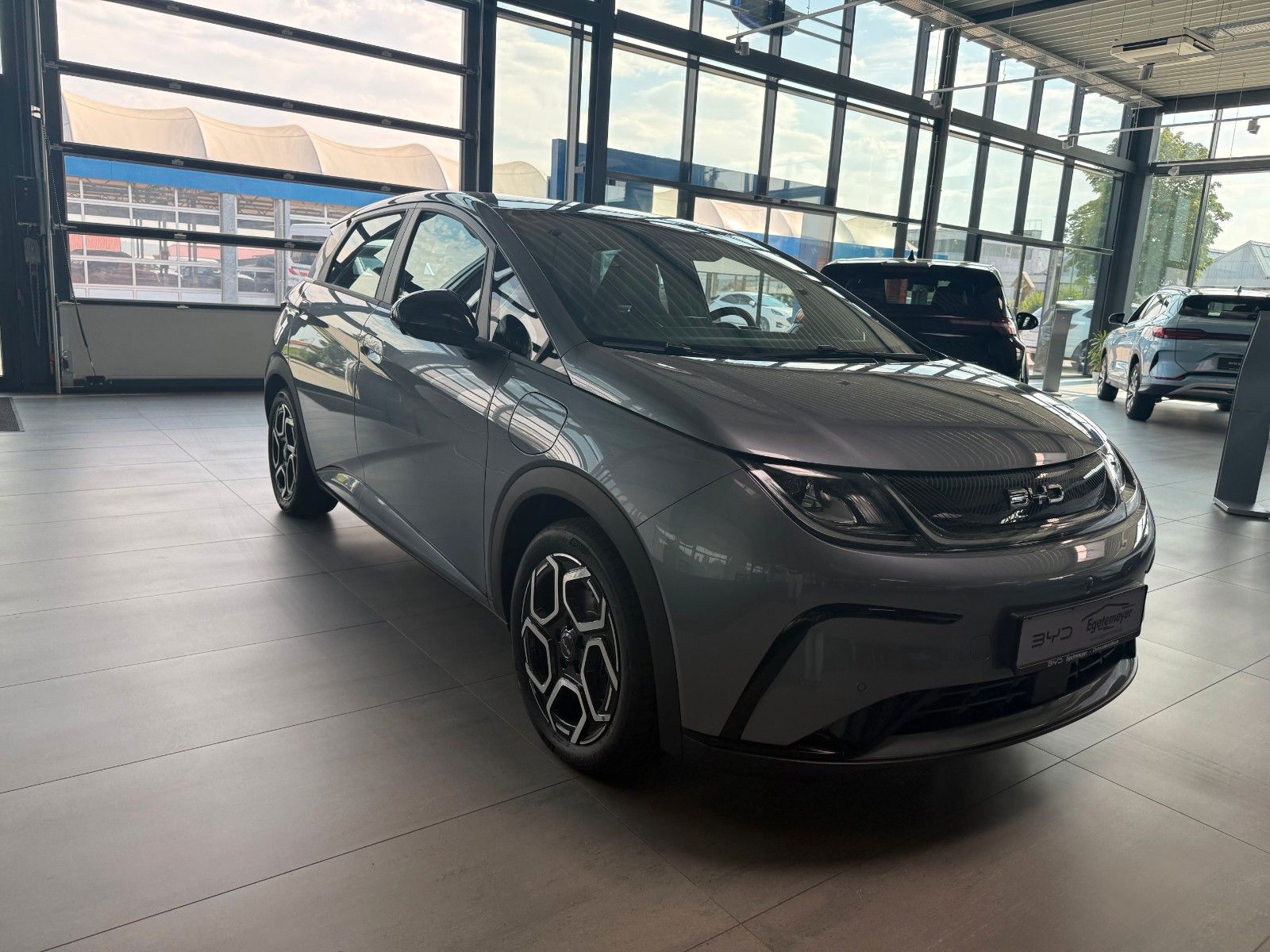 BYD DOLPHIN