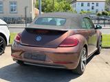 Volkswagen Beetle Cabrio Allstar NAVI/KAMERA/STANDHEIZ - Volkswagen Beetle: Cabrio