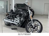 Harley-Davidson V-Rod Muscle VRSCF.  * PORSCHE * - HARLEY-DAVIDSON V ROD MUSCLE VRSCF