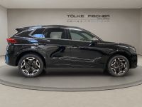 Cupra Terramar - Vorschau Bild 6