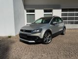 Volkswagen Polo 1.2 TSI Cross 1.Hand Bi-Xenon PDC Navi AHK - Volkswagen Polo: Beige, Metallic