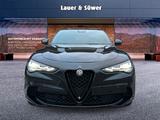 Alfa Romeo Stelvio Quadrifoglio Benzin 519 PS AT *PANO* - Alfa Romeo Gebrauchtwagen
