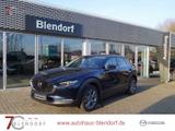 Mazda CX-30 Selection 150 Design|Active|360°|Navi - Mazda CX-30 in Essen