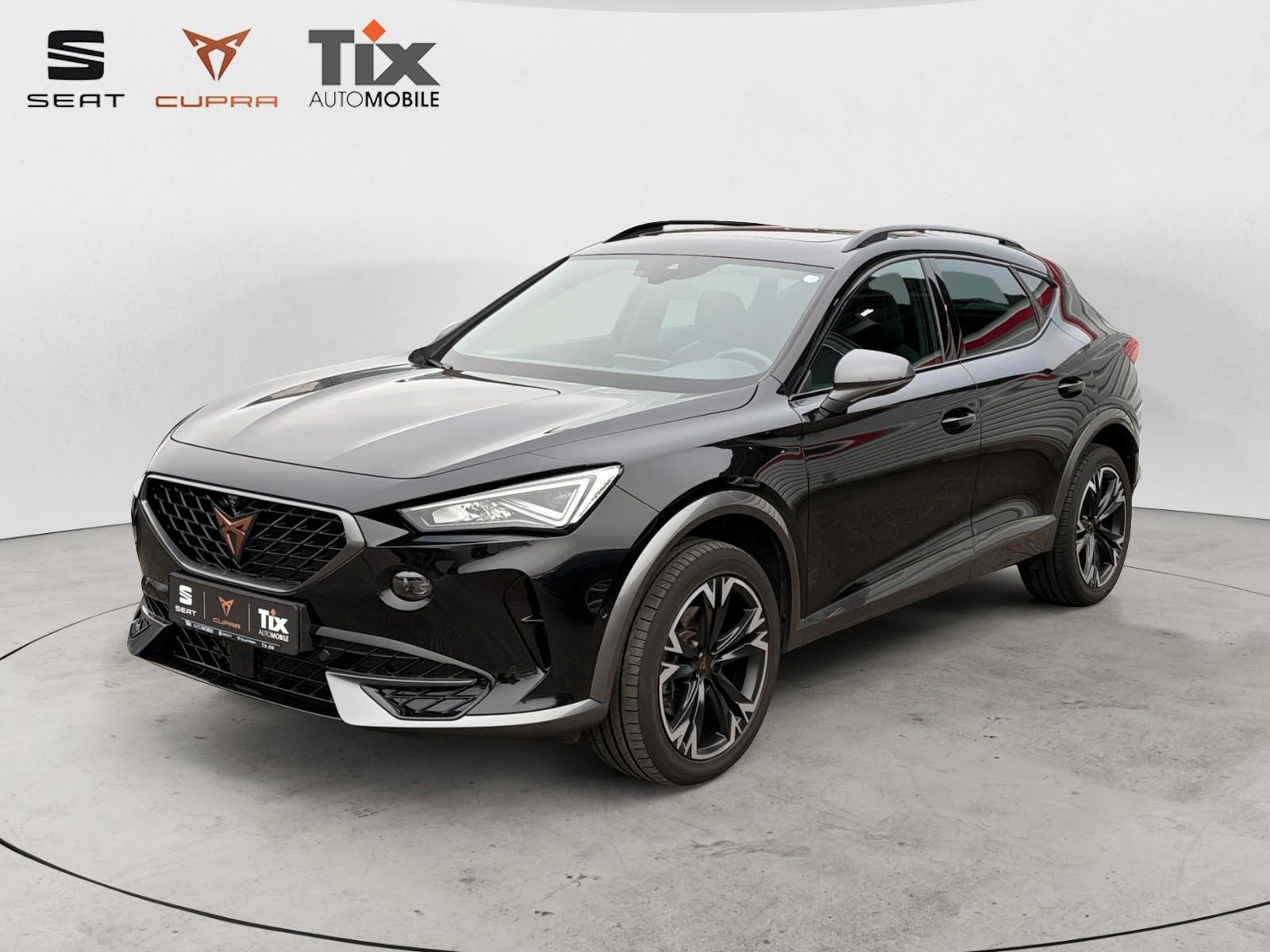 Cupra Formentor 2.0TDI DSG 4-Drive 1.HD/Standh/360°Kam