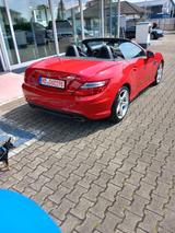 Mercedes-Benz SLK 250 BlueEFF. Edition 1 Autom. AMGLine - Mercedes-Benz SLK aus dem Jahr 2012