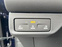 Cupra Terramar - Vorschau Bild 16