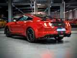 Ford Mustang 5.0 GT 500 Shelby Look Tüv Neu 1.Hand - Ford Mustang aus 2021