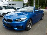 BMW 230i Cabrio M Sport Leder Kam LED H&K Memory AHK - BMW 230 in Hamburg