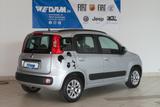 Fiat Panda Lounge 1.2 8V *Klima,LM-Felgen* - gebrauchte Fiat Panda aus dem Jahr 2014